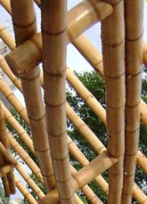Pflege für Bambusrohre, Bambuszäune, Bambusmatten etc.
