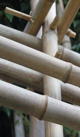 Bambuskonstruktionen